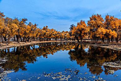 《泰拉瑞亚》跨平台联机功能正在开发中 开发者想做新游戏